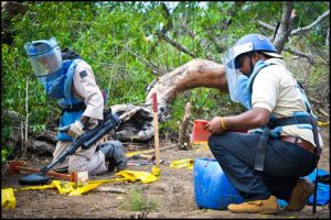  National Mine Action Programme