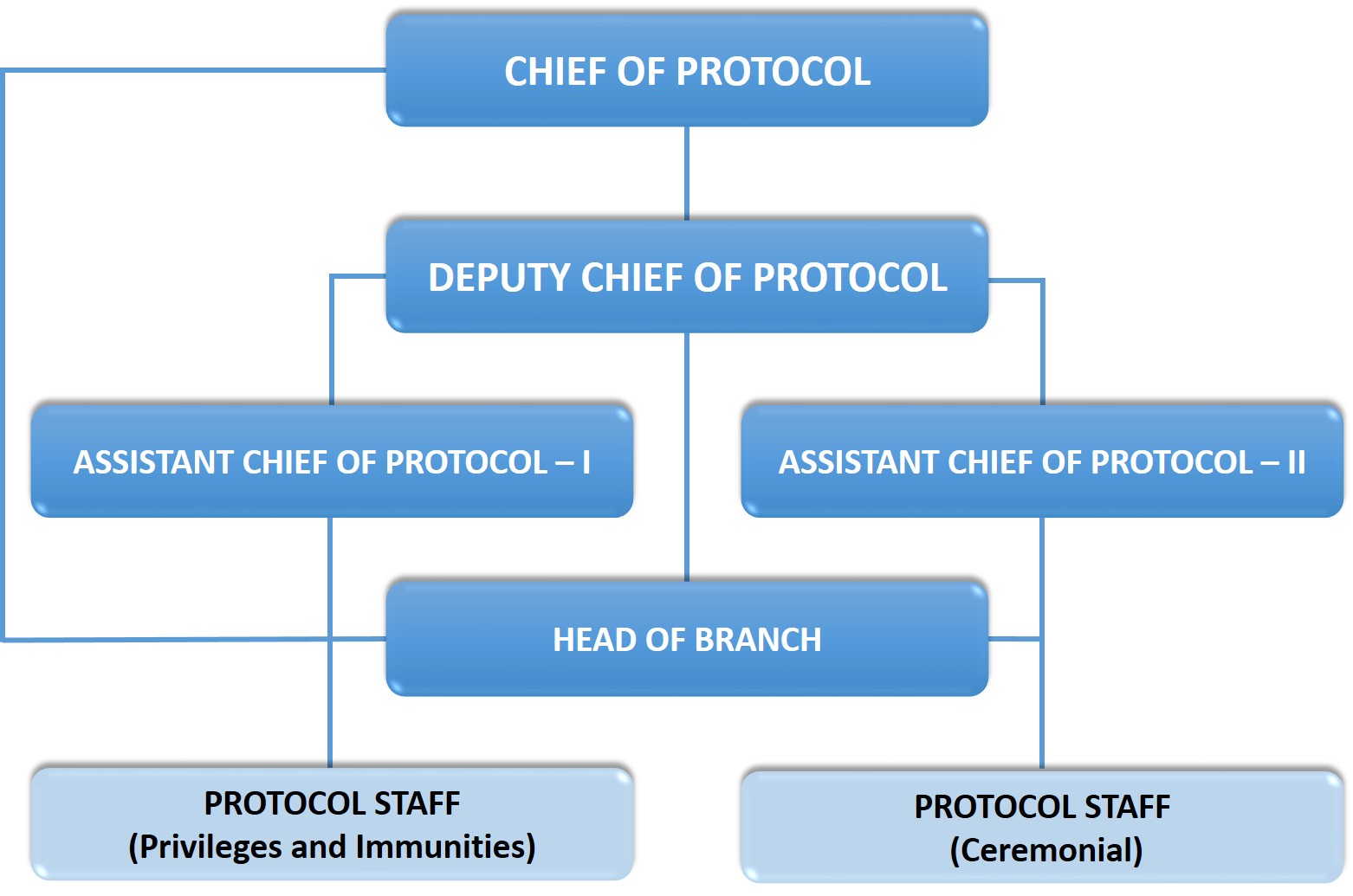 Protocol Organization Chart